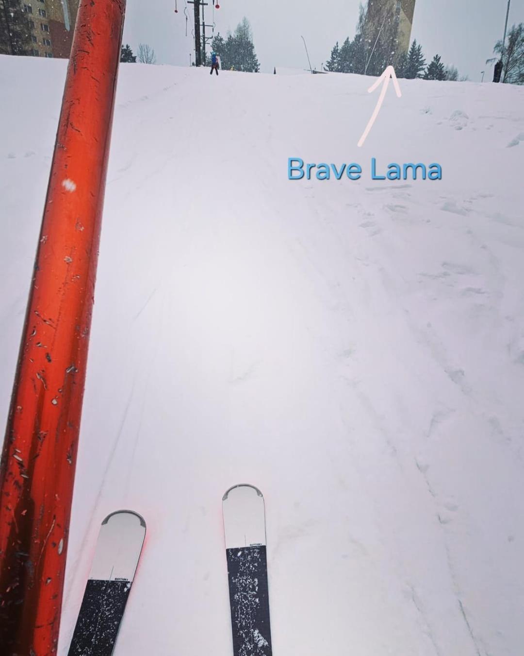 Brave Танвальд